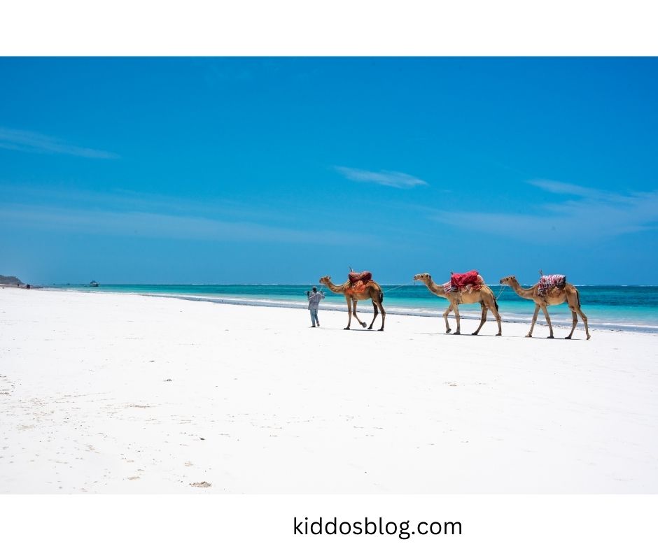 Papa Remo Beach Watamu, Kenya