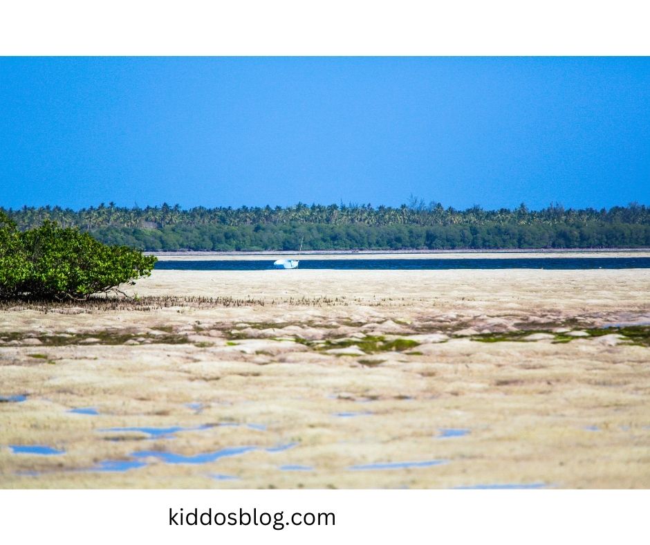 Watamu Marine National Park